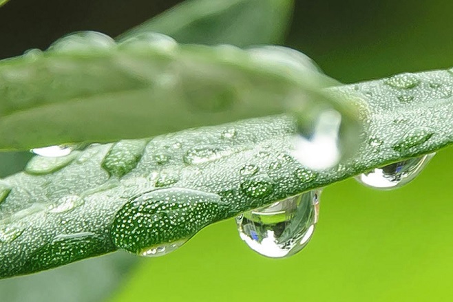 coleklin colesterolo abc trading lissone